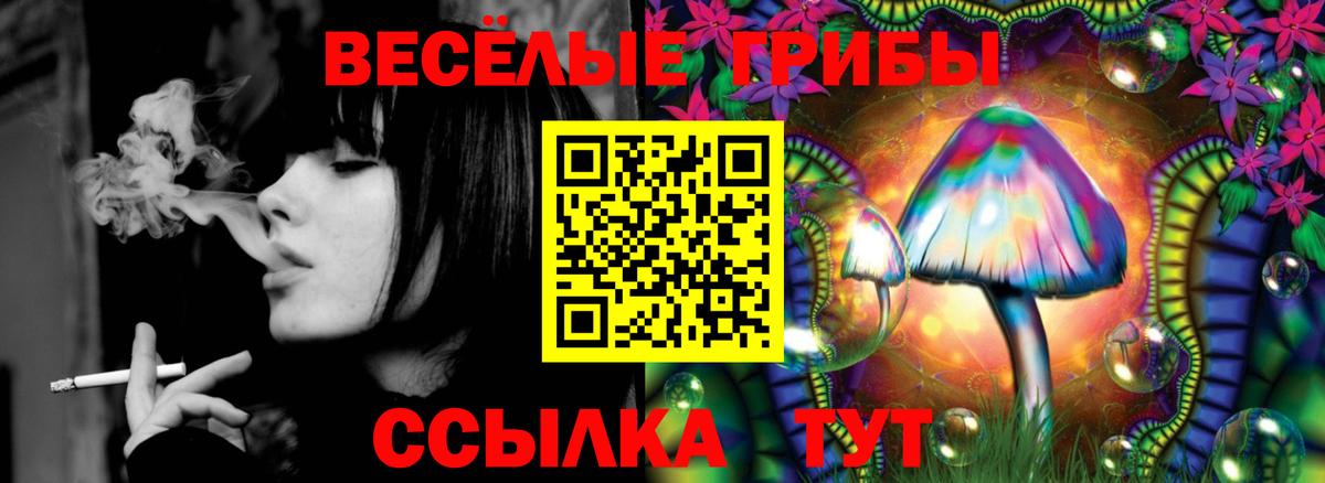Галлюциногенные грибы Magic Shrooms  Вход с VPN  Нижнеудинск 